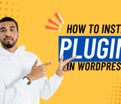 install WordPress plugin on Nanoshellnet hosting