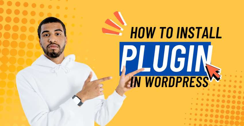 install WordPress plugin on Nanoshellnet hosting