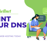 Pointing Your Namecheap Domain to Nanoshellnet Hosting