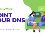 Pointing Your Namecheap Domain to Nanoshellnet Hosting